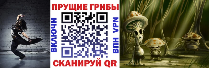 Купить  Короча  Галлюциногенные грибы мухоморы 